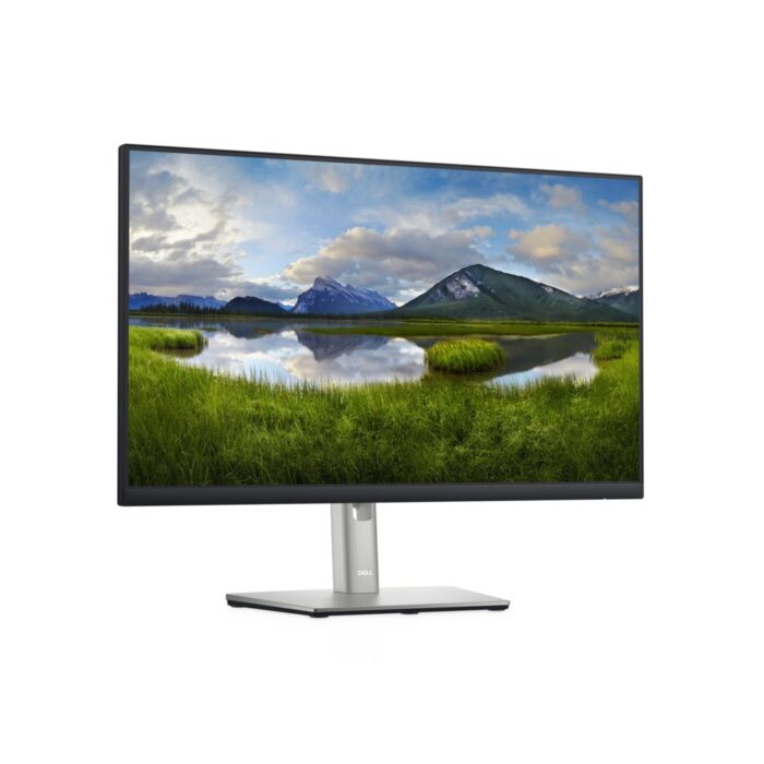 DELL P2422H 23.8" | 1920x1080 IPS | 60Hz | Monitor - 2 DELL P2422H 23.8" | 1920x1080 IPS | 60Hz | Monitor - 2