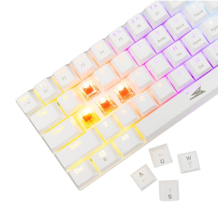 Baracuda DOLPHIN RGB 60% | Bedraad Gaming Toetsenbord | Red Switches | Anti-Ghosting | QWERTY | Wit - 2 Baracuda DOLPHIN RGB 60% | Bedraad Gaming Toetsenbord | Red Switches | Anti-Ghosting | QWERTY | Wit - 2