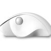 Qware Luton | Draadloze Muis | Links- en Rechtshandig | RF | 1600 DPI | Wit - 1