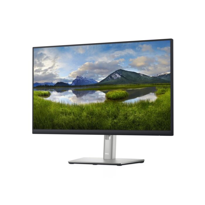 DELL P2422H 23.8" | 1920x1080 IPS | 60Hz | Monitor - 1 DELL P2422H 23.8" | 1920x1080 IPS | 60Hz | Monitor - 1
