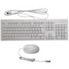 QWERTZ | HP M52730-041 | Bedraad Muis en Toetsenbordcombo | QWERTZ - 0