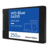 Western Digital Blue SA510 | 250GB SATA SSD | 2.5'' | 555MB/s Lezen | 440MB/s Schrijven - 1