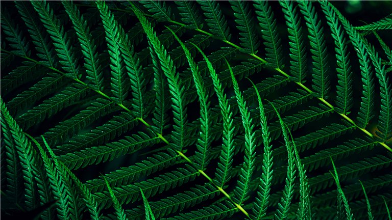 76e86fb49f8c9291b546dcf2c557e3102cfe7b17 76e86fb49f8c9291b546dcf2c557e3102cfe7b17