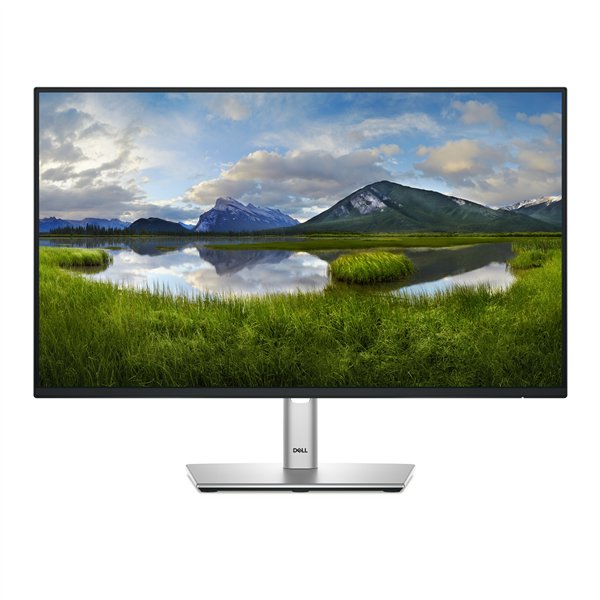 DELL Pro Plus P2425H monitor 23.8" Full HD 1920x1080 zwart