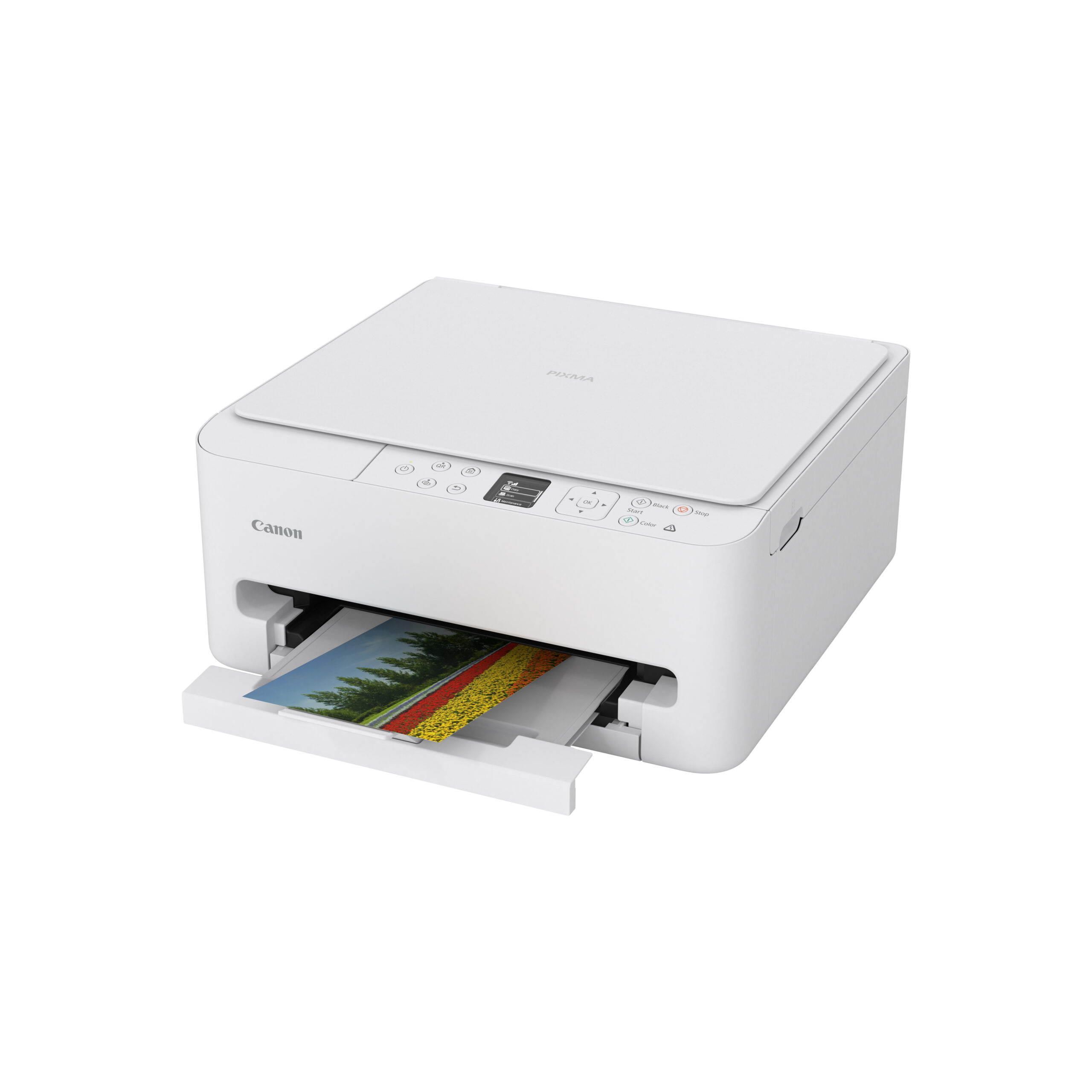 Canon PIXMA TS6550i Multifunctional Kleur Inktjetprinter 14 ppm