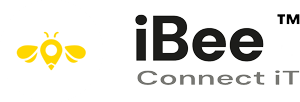 iBee Connect IT Vlissingen