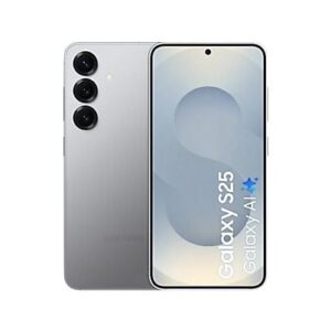 Samsung Galaxy S25 256GB S931 Zilver Enterprise Edition